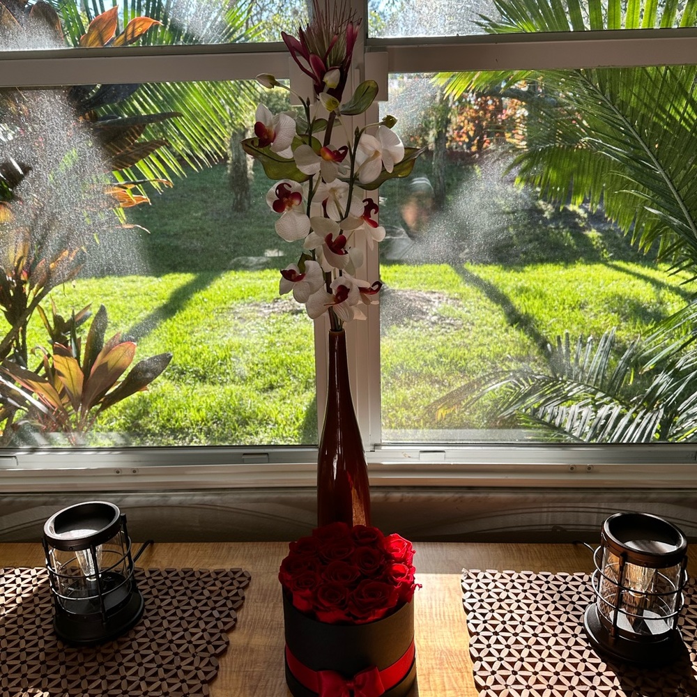 Meet your Posher, Renelle